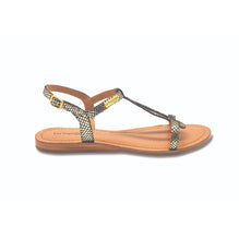 HAMAT Gold/Black